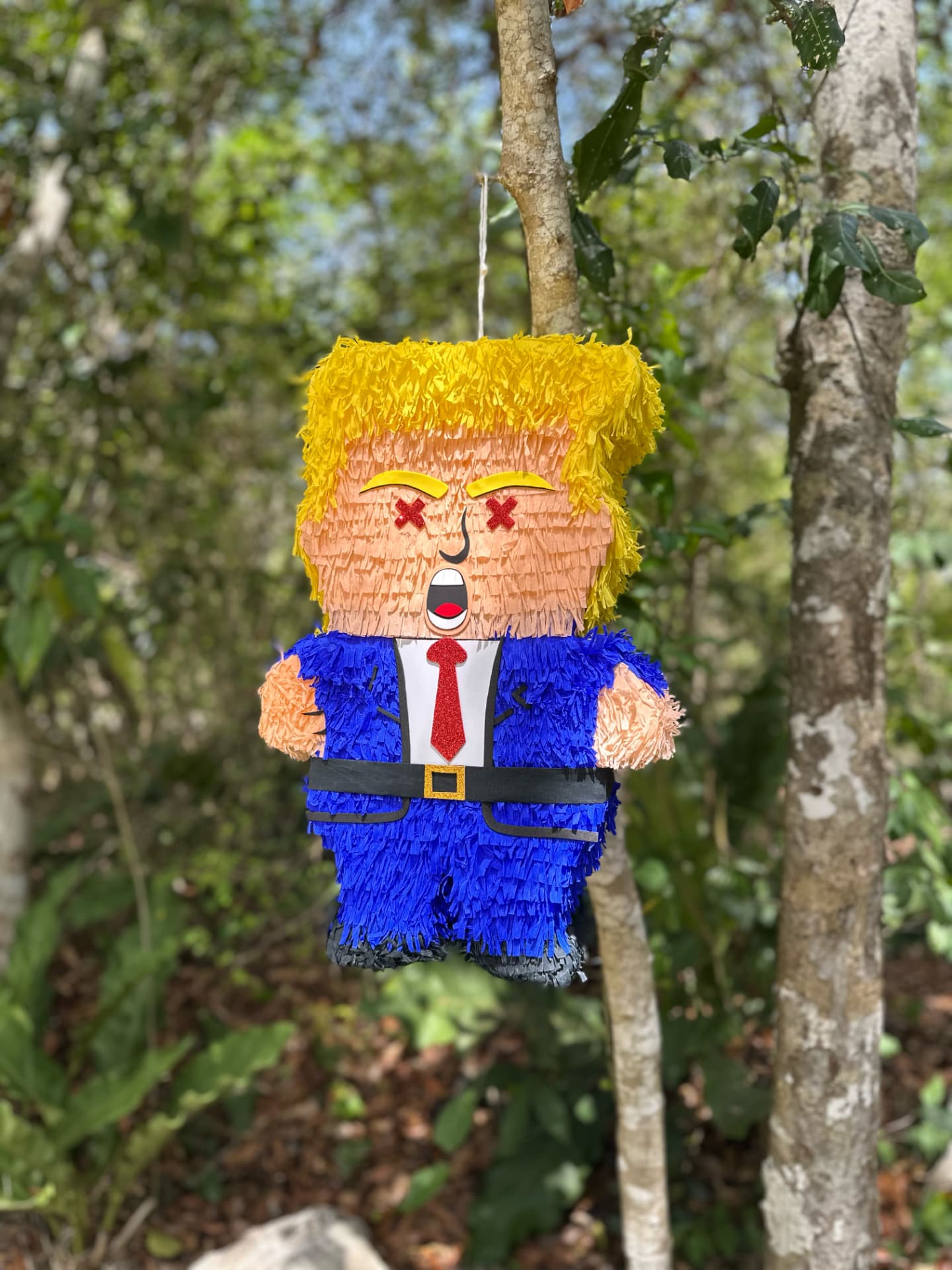 Pinata hanging from a tree branch outdoors