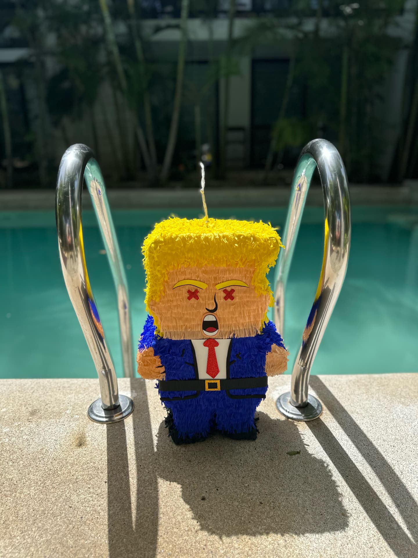 Pinata standing between pool ladder rails