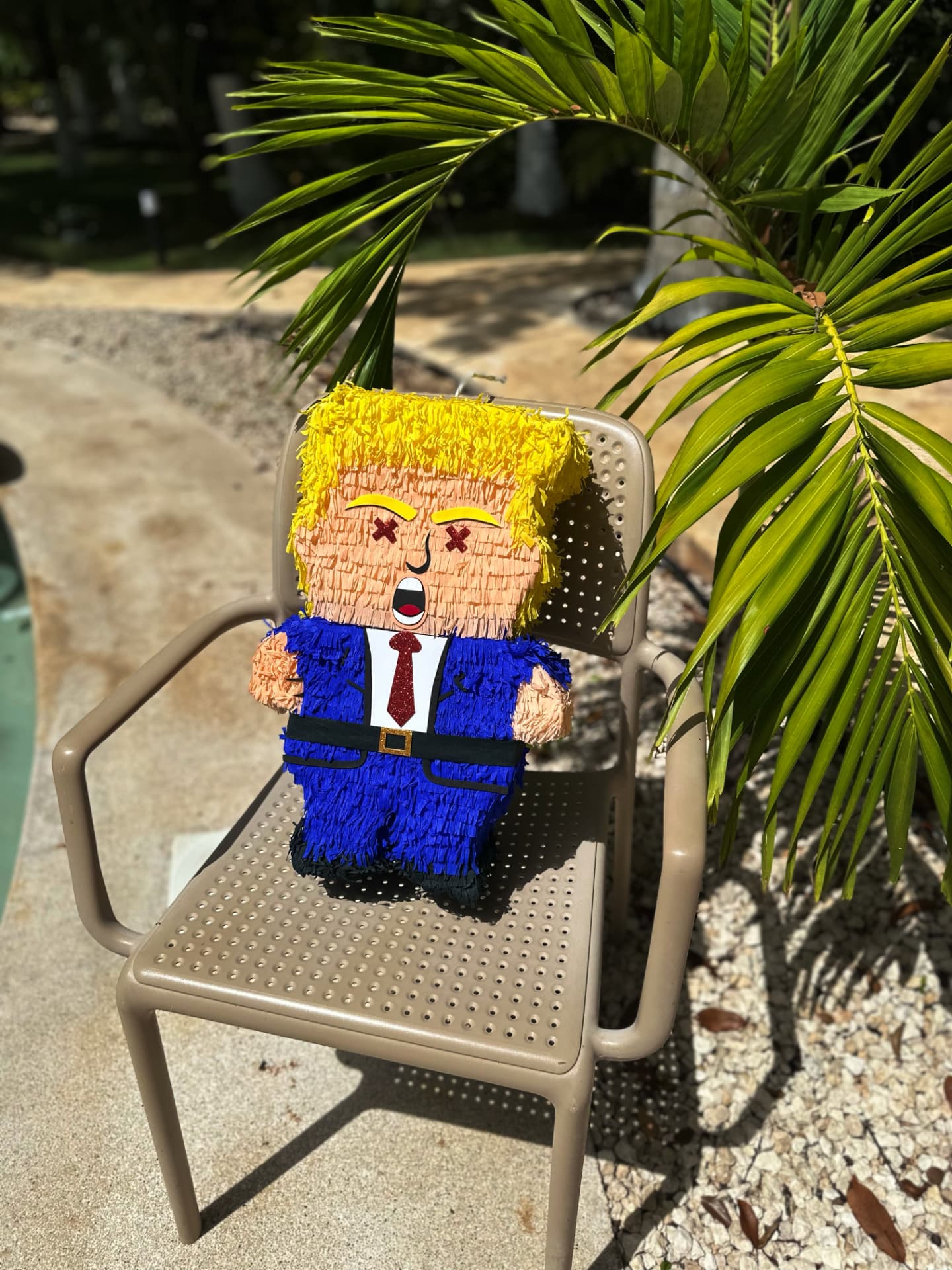 Pinata sitting on a patio chair beside a palm